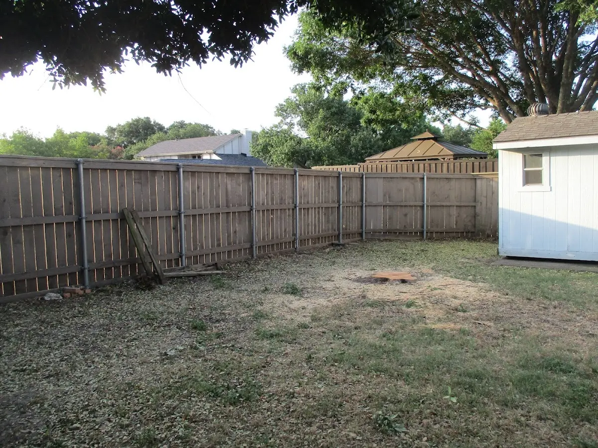 Cleared yard after professional tree removal in Nokesville